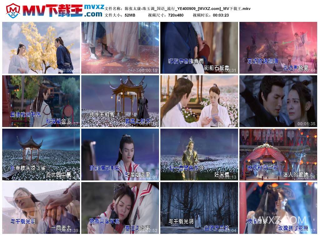 陈张太康-珠玉调_国语_流行_YE400909